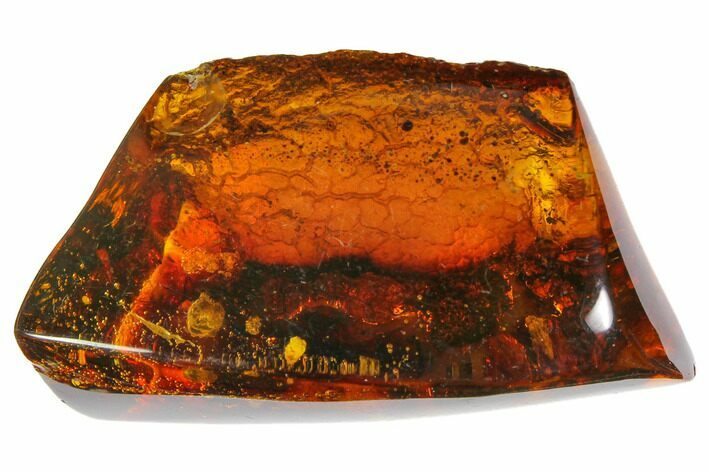 Polished Chiapas Amber ( g) - Mexico #114761